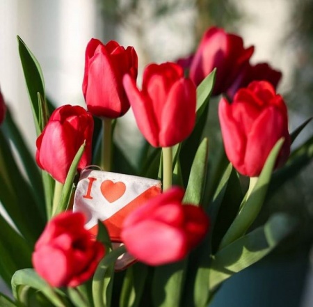 8 �����!!!